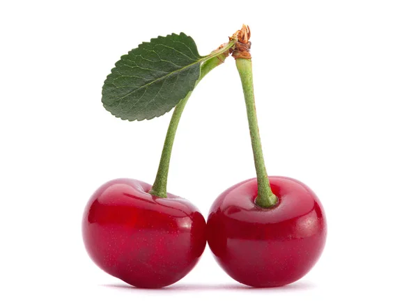 Fruta de cereza — Foto de Stock