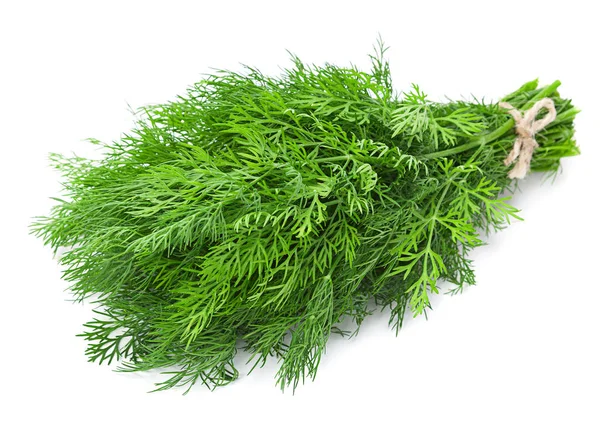 Dereotu herb — Stok fotoğraf