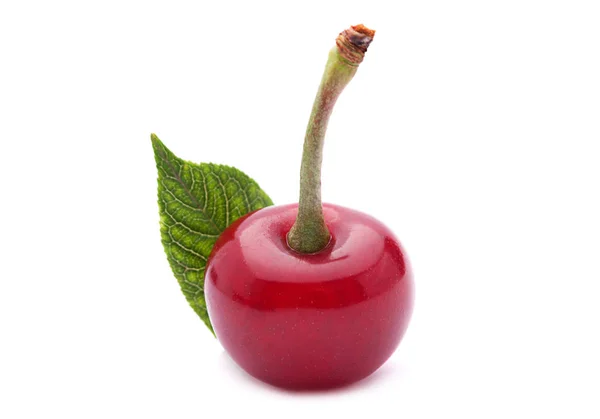 Cherry vruchten — Stockfoto