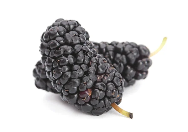 Black mulberry — Stock Photo, Image