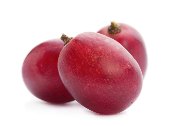 Ягоди винограду — стокове фото