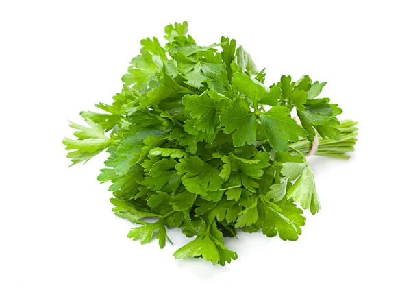 Parsley aromatic herb — Stock Photo, Image