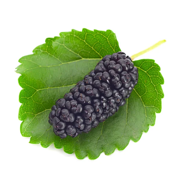 Black mulberry — Stock Photo, Image