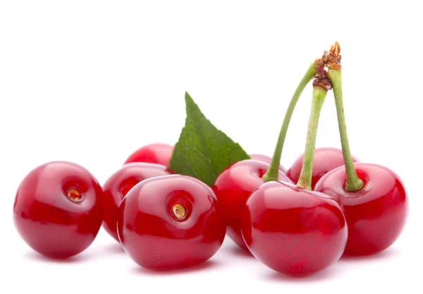 Cherry fruit group — Stock Photo, Image