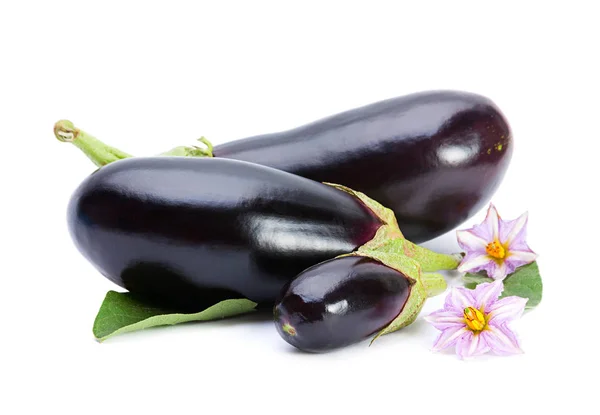 Aubergine plantaardige — Stockfoto