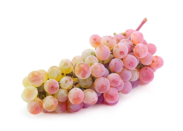 Fruto de uva violeta —  Fotos de Stock