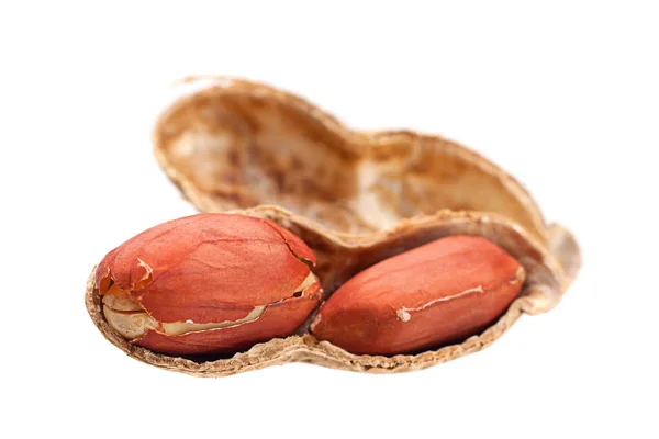 Peanut with shell — Stock Photo, Image