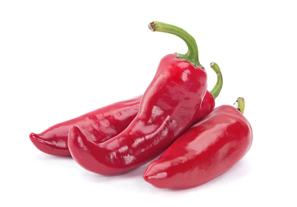 Červené chilli papričkou na bílém pozadí — Stockfoto