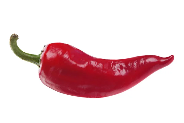 Červené chilli papričkou na bílém pozadí — Stockfoto