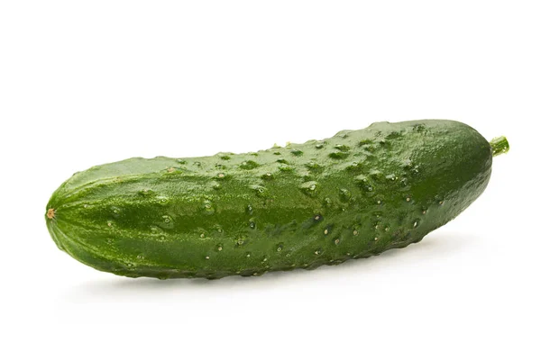 Beyaz üzerine salatalık sebze — Stok fotoğraf