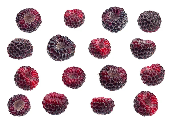 Black raspberry Cumberland set — Stock Photo, Image