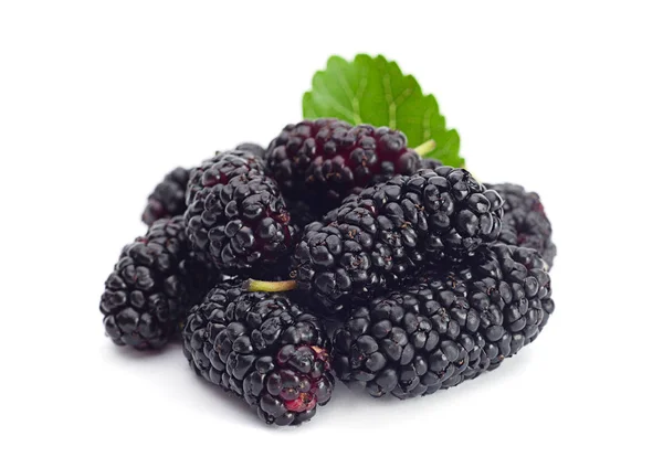 Fruta morera negra — Foto de Stock
