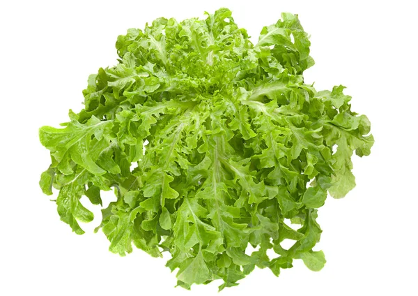 Салат из листьев салата — стоковое фото