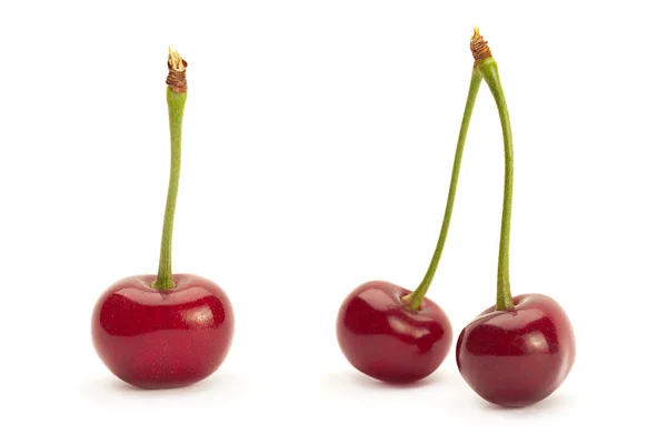 Cherry berry closeup — Stock Photo, Image