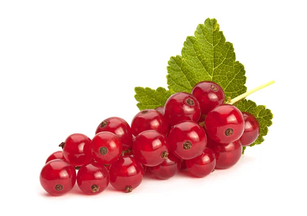 Bacca di ribes rosso — Foto Stock