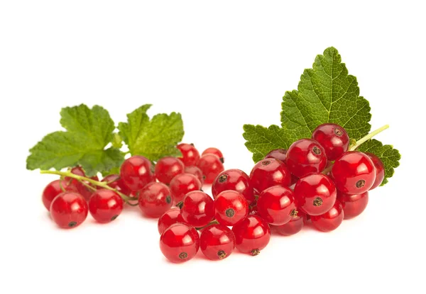 Baya de grosella roja — Foto de Stock