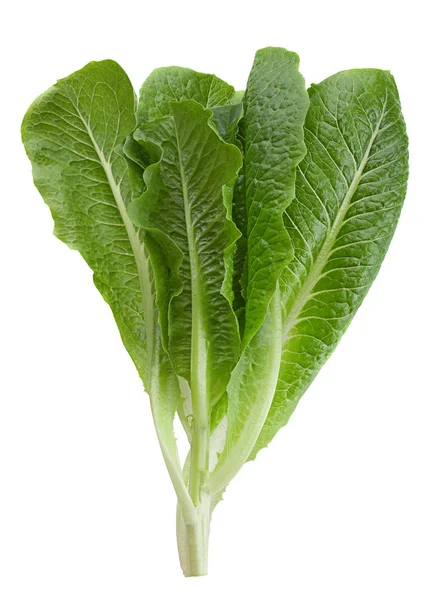 Ramuan sayuran salad — Stok Foto