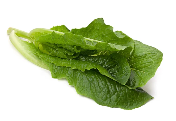 Ramuan sayuran salad — Stok Foto