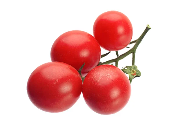 Tomaten-groente geïsoleerd — Stockfoto