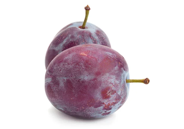 Plum fruit on white — Stock Photo, Image