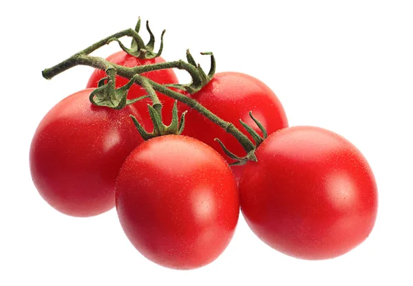 Tomates légumes isolés — Photo