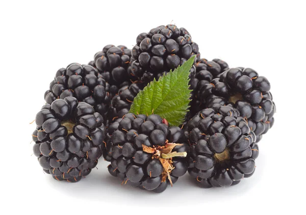 Blackberry fruit — Stock Photo, Image