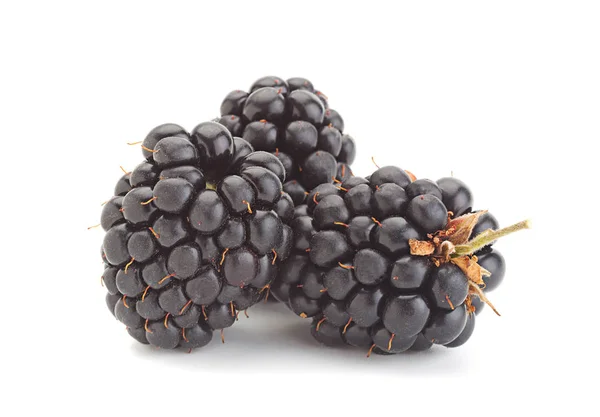 BlackBerry vruchten — Stockfoto
