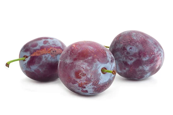 Buah plum di atas putih — Stok Foto