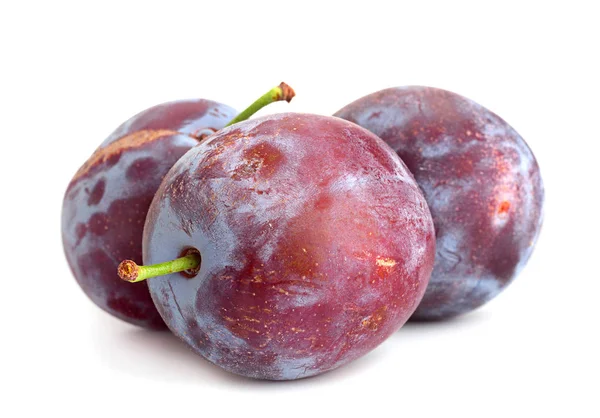 Buah plum di atas putih — Stok Foto