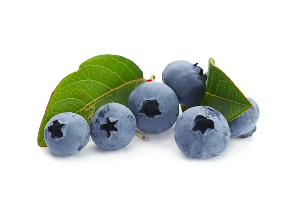 블루베리 열매 — 스톡 사진