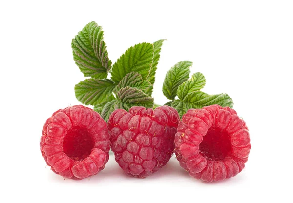 Raspberry vruchten close-up — Stockfoto