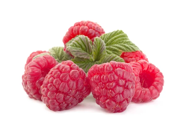 Raspberry vruchten close-up — Stockfoto