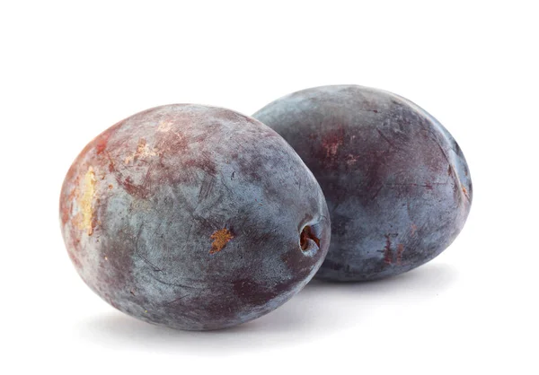 Fruits de prune gros plan — Photo