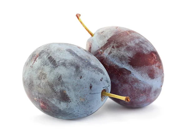 Plum fruit closeup — Stock Photo, Image