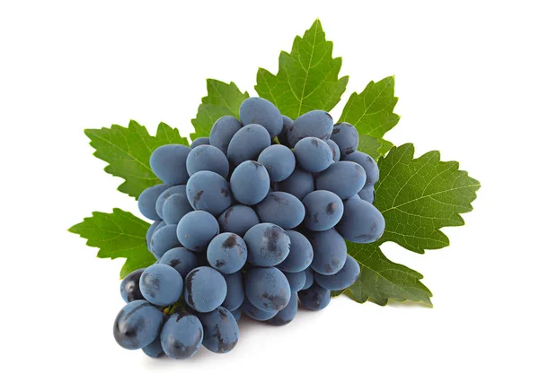 Blue grape fruit with leaf — Stock Photo, Image