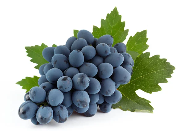 Niebieski owoc winogron z liści — Zdjęcie stockowe