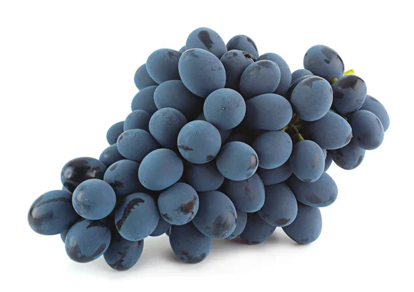 Fruto de uva azul sobre blanco — Foto de Stock