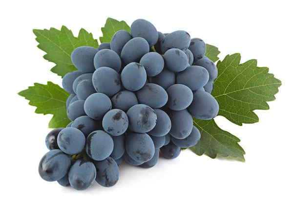 Niebieski owoc winogron — Zdjęcie stockowe