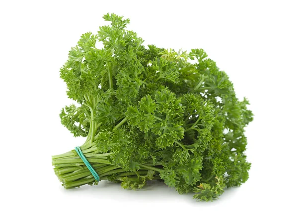 Curly parsley bunch — Stock Photo, Image