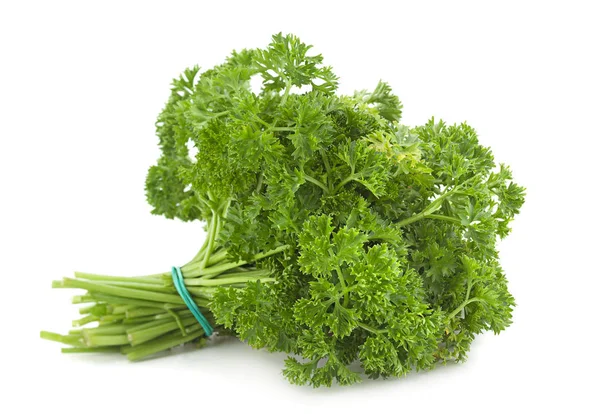 Curly parsley on white — Stock Photo, Image