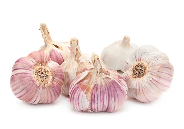 Garlic vegetable on white — Stock Photo, Image