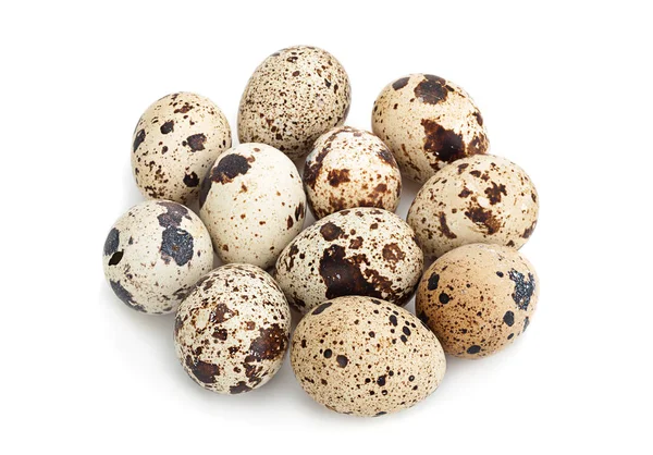 Grupo de huevos de codorniz — Foto de Stock