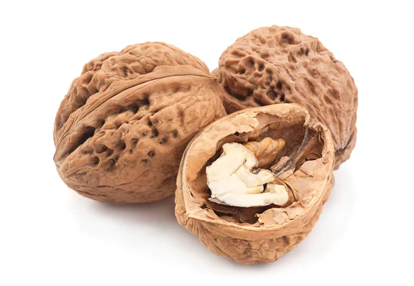 Walnut fruit on white — Stock Photo, Image