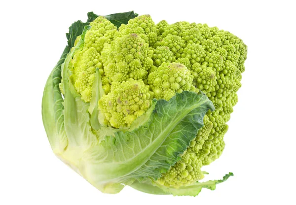 Romanesco cabbage on white — Stock Photo, Image