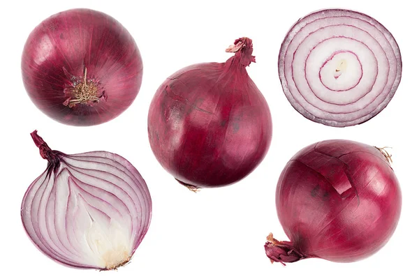 Purple onion collection on white — Stock Photo, Image