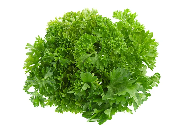 Parsley herb on white — Stock Photo, Image