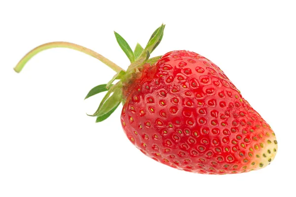 Φράουλα φρούτα σε λευκό — Φωτογραφία Αρχείου