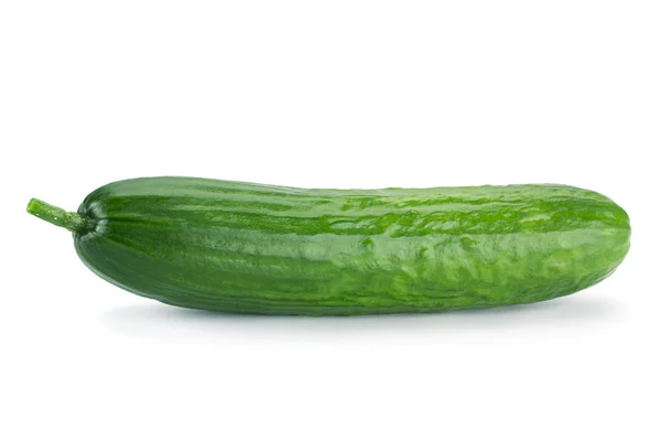 Beyaz uzun salatalık — Stok fotoğraf
