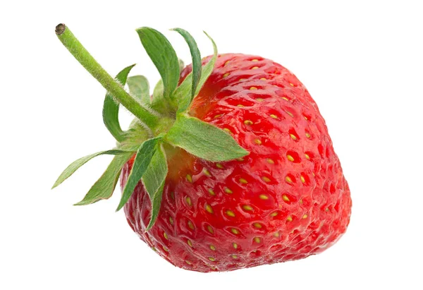 화이트에 딸기 과일 — 스톡 사진