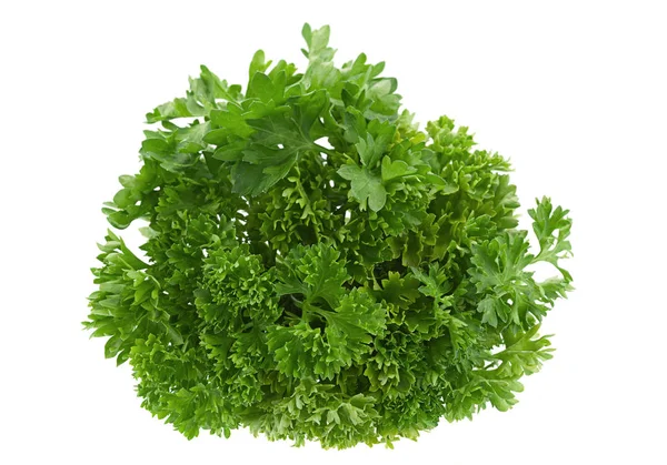 Parsley herb on white — Stock Photo, Image